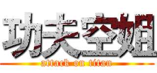 功夫空姐 (attack on titan)