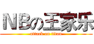 ＮＢの王家乐 (attack on titan)