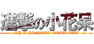 進撃の小花呆 (MY Q IS GOOD GOOD EAT)