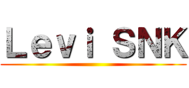 Ｌｅｖｉ ＳＮＫ ()