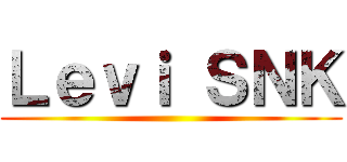 Ｌｅｖｉ ＳＮＫ ()