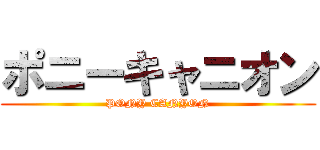 ポニーキャニオン (PONY CANYON)