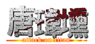 唐瑋壎 (attack on titan)