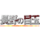 長野の目玉 (attack on titan)