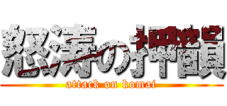 怒涛の押韻 (attack on komai)