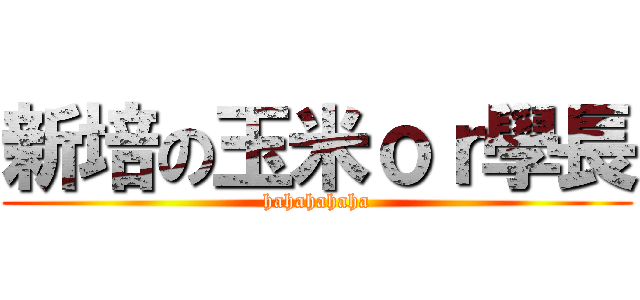 新培の玉米ｏｒ學長 (hahahahaha)