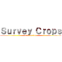 Ｓｕｒｖｅｙ Ｃｒｏｐｓ (attack on titan)