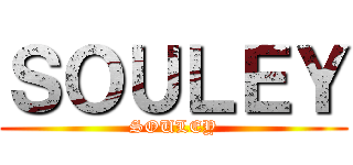 ＳＯＵＬＥＹ (SOULEY)