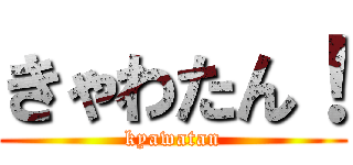 きゃわたん！ (kyawatan)