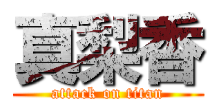 真梨香 (attack on titan)