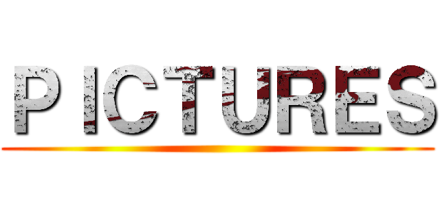 ＰＩＣＴＵＲＥＳ ()