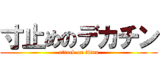 寸止めのデカチン (attack on titan)