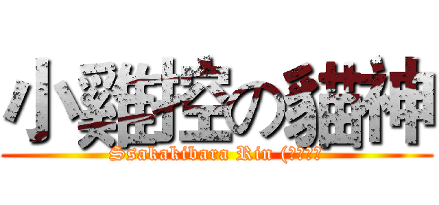 小雞控の貓神 (Ssakakibara Rin (凌碟嫣）)