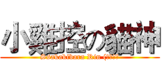 小雞控の貓神 (Ssakakibara Rin (凌碟嫣）)