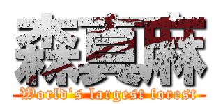 森真麻 (World’s largest forest)