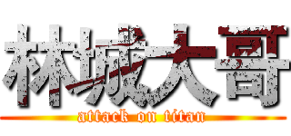 林城大哥 (attack on titan)