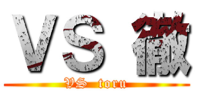 ＶＳ 徹 (VS  toru)