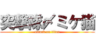 突撃隊〆ミケ猫 (attack on titan)