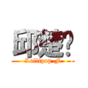 邱楚洹 (Lollipop-F)