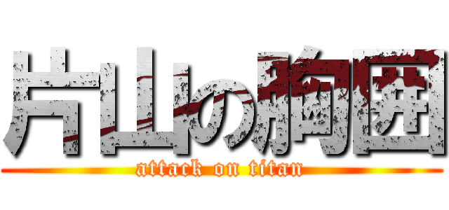 片山の胸囲 (attack on titan)