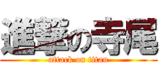 進撃の寺尾 (attack on titan)