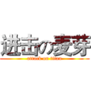 进击の麦芽 (attack on titan)
