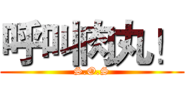 呼叫肉丸！ (S.O.S)