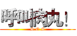 呼叫肉丸！ (S.O.S)