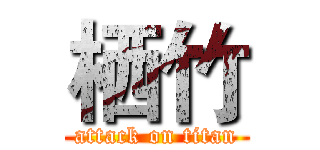 栖竹 (attack on titan)