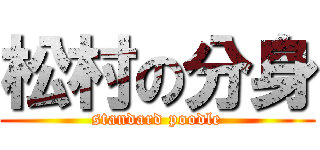 松村の分身 (standard poodle)