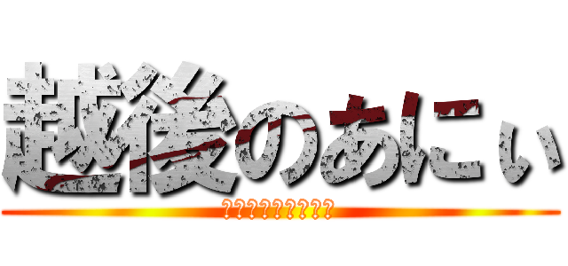 越後のあにぃ (新潟県産コシヒカリ)