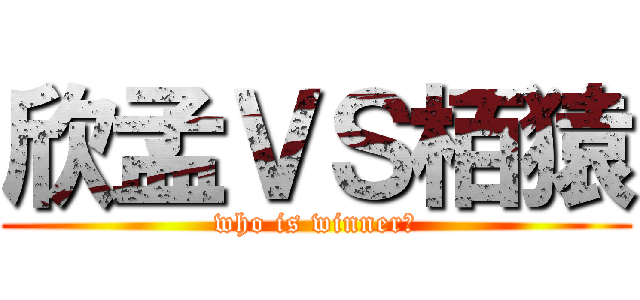 欣孟ＶＳ栢猿 (who is winner?)