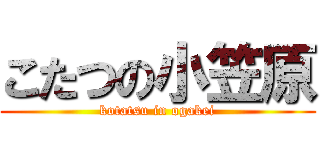 こたつの小笠原 (kotatsu in ogakei)