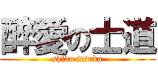 醉愛の士道 (shido itsuka)