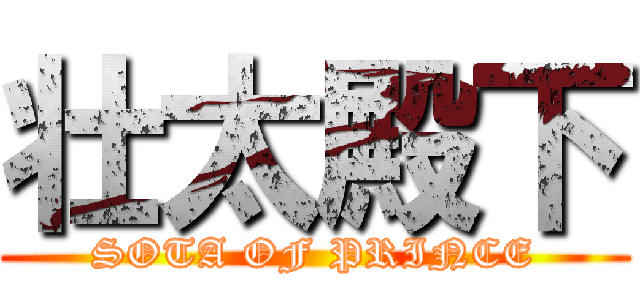 壮太殿下 (SOTA OF PRINCE)