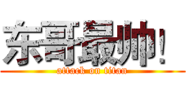 东哥最帅！ (attack on titan)
