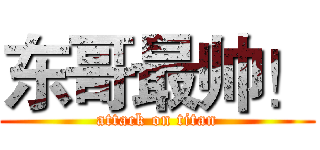 东哥最帅！ (attack on titan)