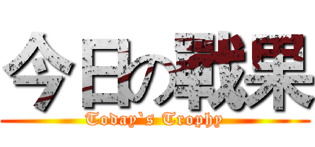 今日の戰果 (Today`s Trophy)