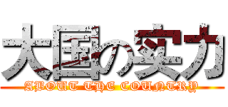 大国の实力 (ABOUT THE COUNTRY)