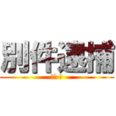 別件逮捕 (古川 卓)