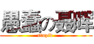 愚蠢の聂晖 (stupid )
