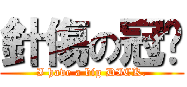 針傷の冠瑋 (I have a big DICK.)