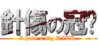 針傷の冠瑋 (I have a big DICK.)