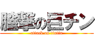 膣撃の巨チン (attack on tintin)