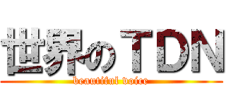 世界のＴＤＮ (beautiful voice)