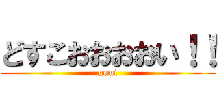 どすこおおおおい！！ (gomi)