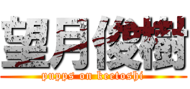 望月俊樹 (pupps on keetoshi)