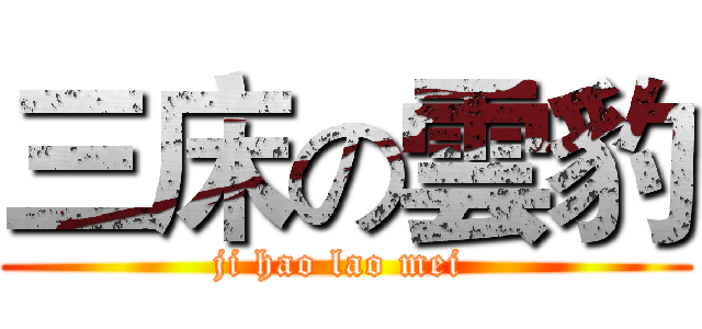 三床の雲豹 (ji hao lao mei )