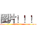 图片！！！ (picture)