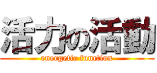 活力の活動 (energetic function)